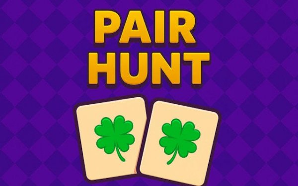 Pair Hunt: Memory Match Online Puzzle Game