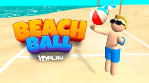 Beach Ball Volleyball Game